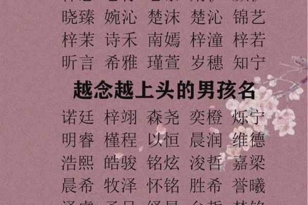 名字打分网：如何为宝宝选择最合适的名字