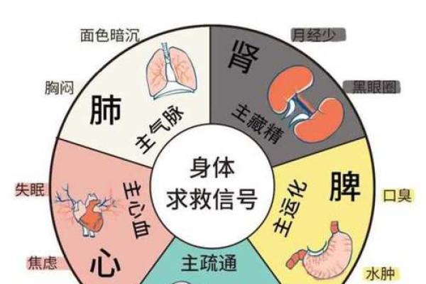 瑜伽五行属性解析与身心调和的关系