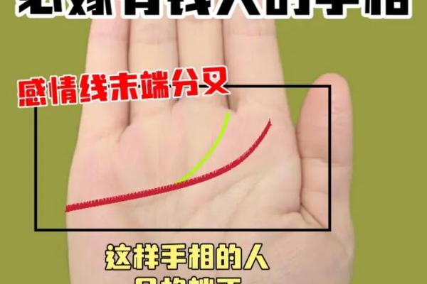 解锁女人手相的秘密：图解不同手纹揭示的命运走向