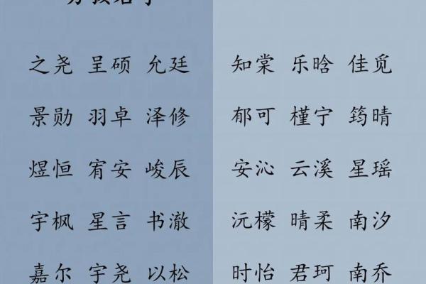 宝宝起名字免费测试助力父母轻松挑选最佳名字