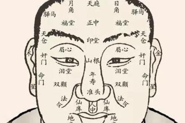 男人痣相解读：面部痣的位置与性格命运的关系