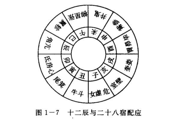 天干地支的奥秘与应用解析