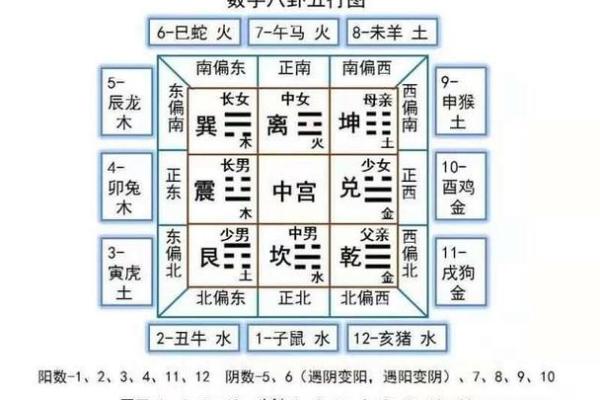 天干地支的奥秘与应用解析