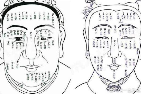 身体各部位痣相解析：探索痣与性格的关系