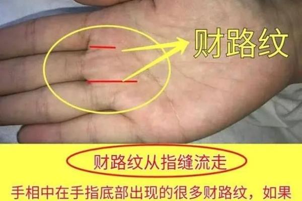 看手相究竟能预测未来吗？科学与迷信的边界