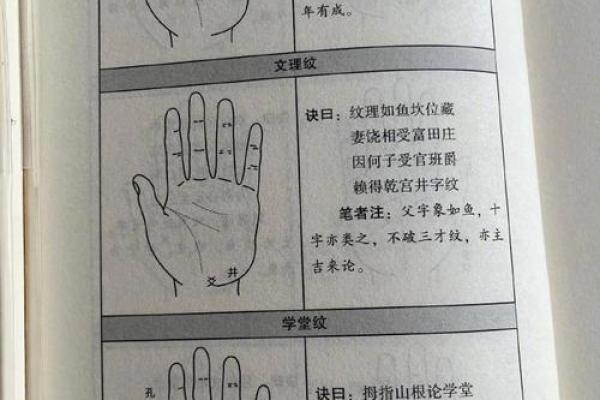 掌纹透视人生 手相图解大全助你洞察未来