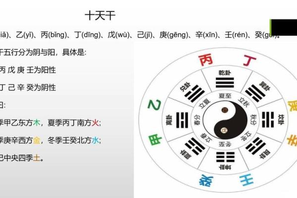 天干地支中的阴阳之道与命理运势解析