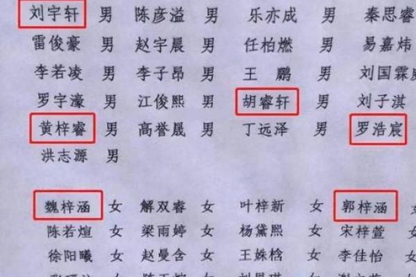 免费测名字：了解姓名的力量与影响