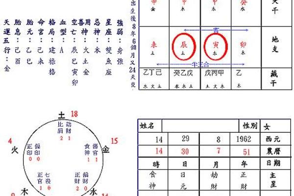 掌握生辰八字查询的关键要点