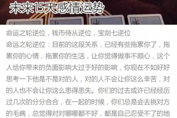 杨洋命理解析与未来运势趋势分析