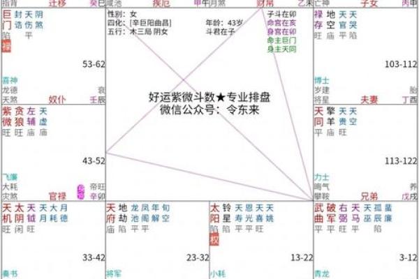 紫薇命盘解析：探索你的命运走向与运势变化