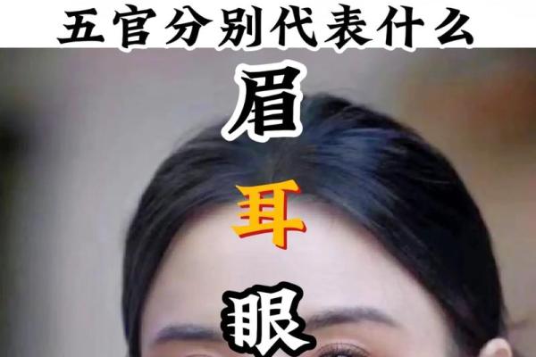 探秘面相学：解读五官变化背后的深层含义