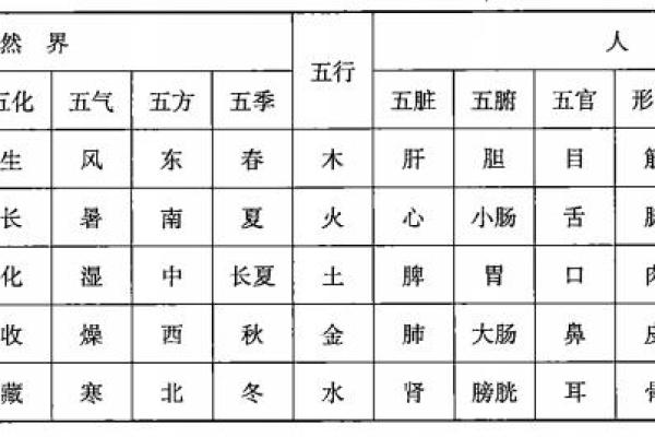 言五行属性解析与深度分析