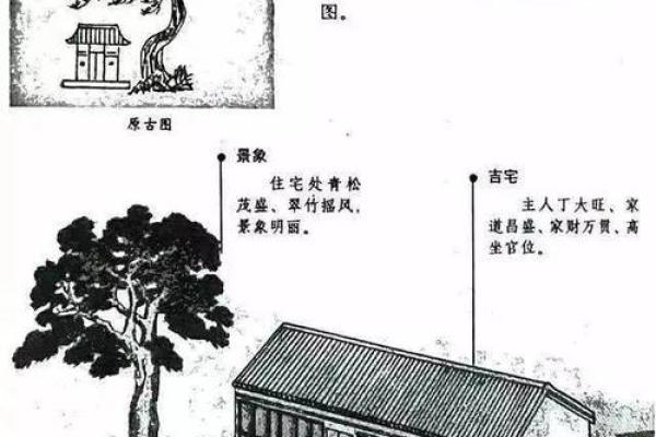 家居风水必知：如何通过布局改善家运