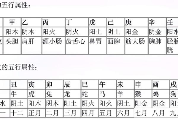 天干地支的顺序与传统文化的关系