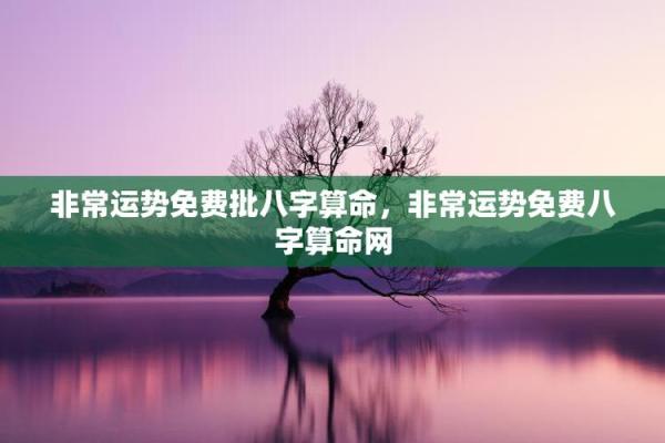 用免费八字测算，探索你的人生运势走向