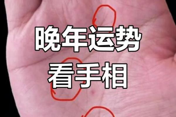 女人手相详解：掌纹如何影响一生运势