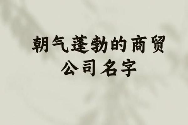 如何为贸易公司起一个既独特又有吸引力的名字