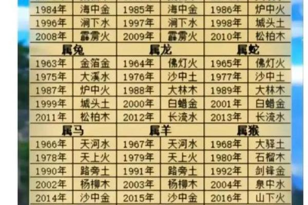 知字五行归属解析与命理影响探讨