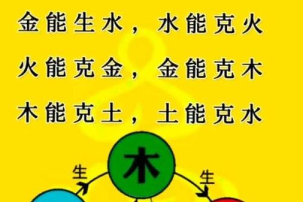 知字五行归属解析与命理影响探讨