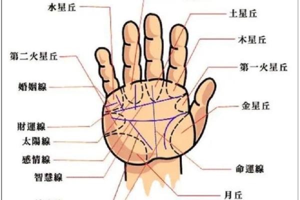 手相分析技巧：如何解读手掌中的人生密码