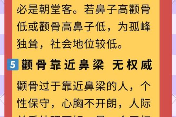 深入解读面相大全图解：面部特征与命运的秘密