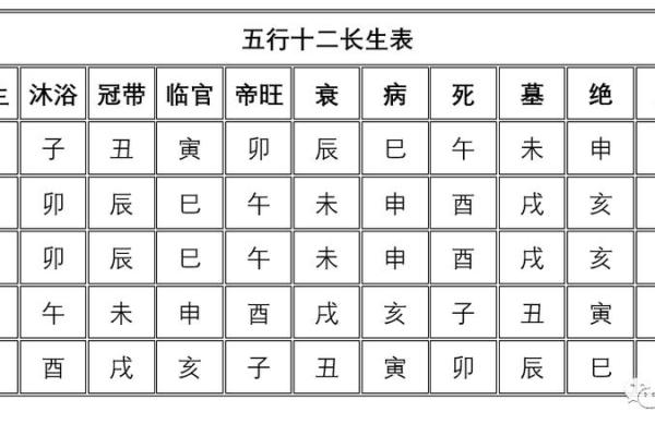 阳字五行属性解析：揭示其在命理中的重要意义