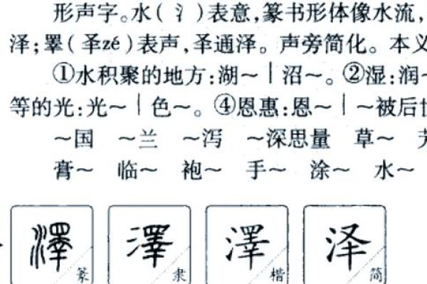 泽字五行属性解析及其对命理的影响