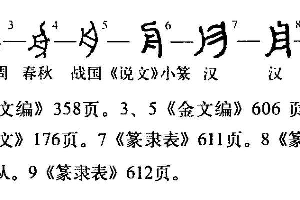 舟字五行属性解析及其在命理中的意义