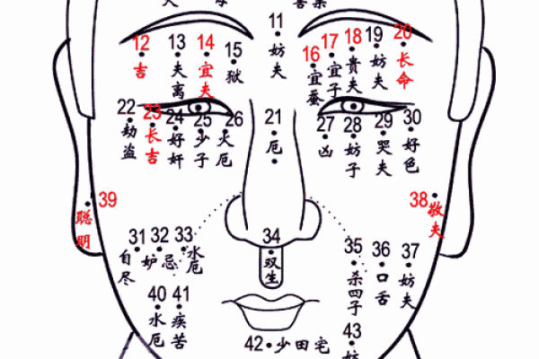 痣相是否准确揭示命运真相