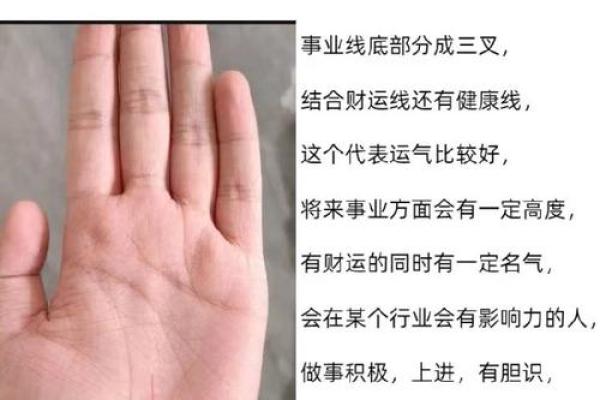 如何通过手相判断财富运势与职业发展