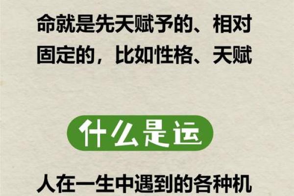 笑命理与性格分析：笑容能揭示你未来的命运吗