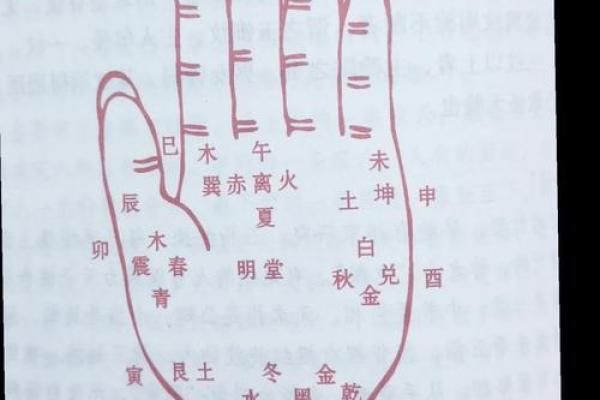 解锁手相奥秘：乱花纹揭示你的人生轨迹