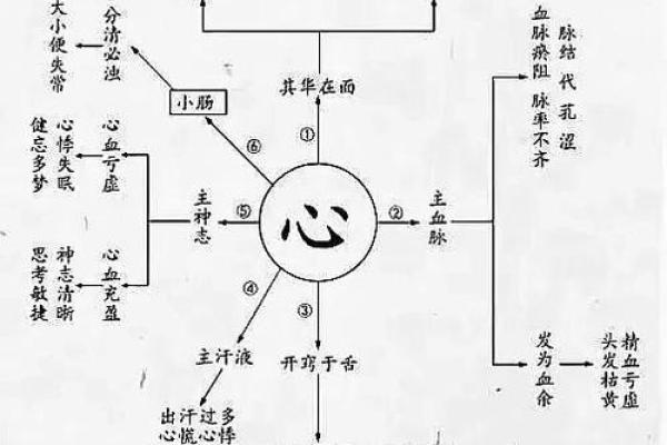 拉五行与五行理论的关系