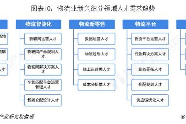 孙晟：探索这位新兴人才的独特魅力