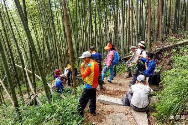 狮子口风水学在城市规划中的重要性