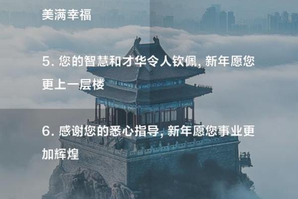 苏亮：阳光智慧，事业腾飞，人生璀璨之选