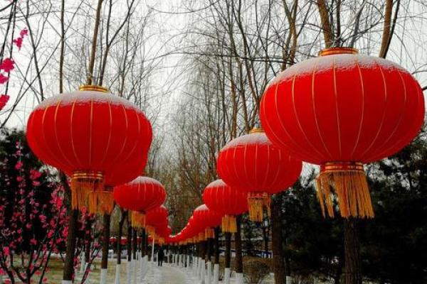 瑞雪丰年迎新春，传统习俗庆佳节