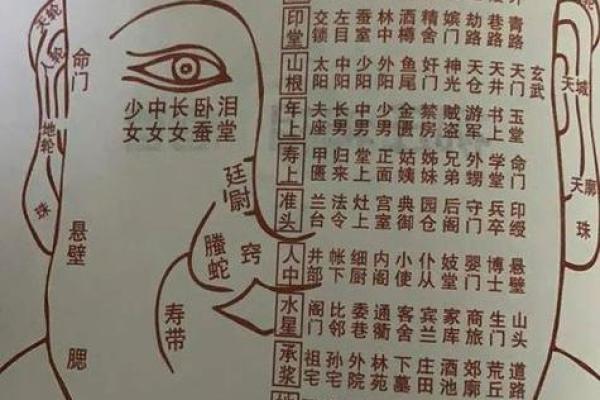 风水学视角下的面相解析与运势影响