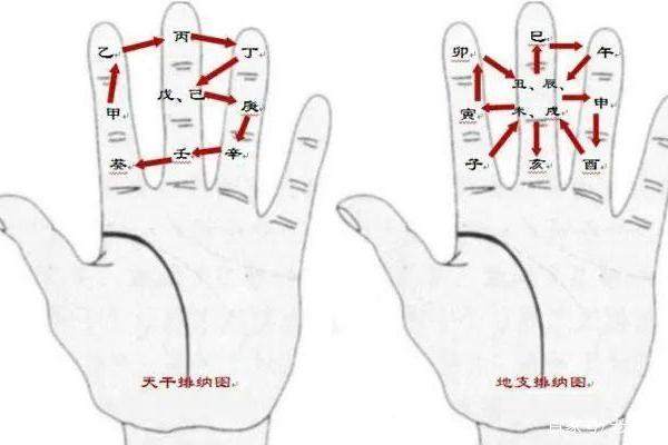 手指地支与命理：如何通过手指预测未来