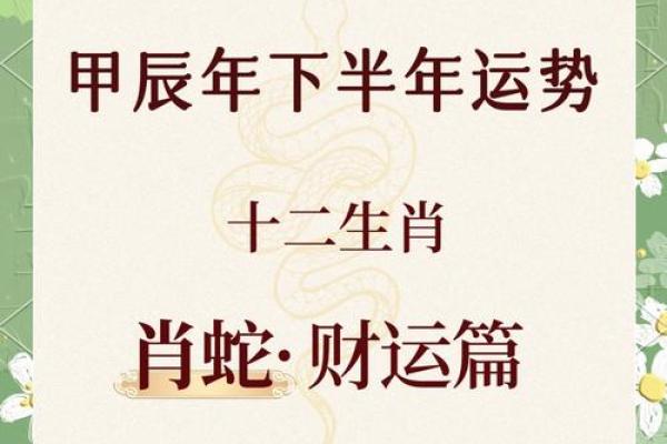 属蛇2019年运势：财运亨通，事业腾飞，健康无忧