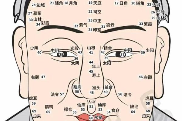 面部风水学的奥秘 你的面相透露了什么运势