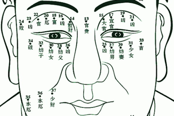 神秘痣相揭秘：五官痣图破解运势密码