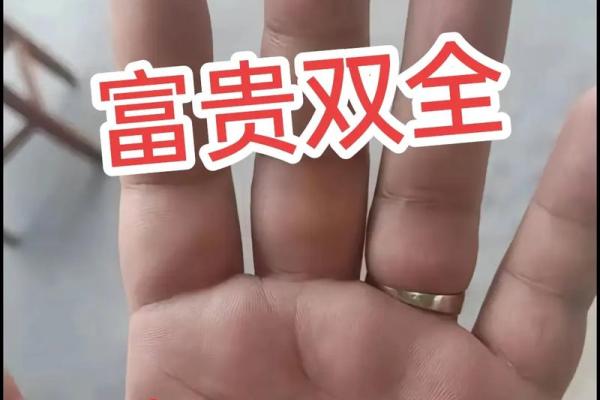 手掌藏金：揭秘老板的成功手相密码