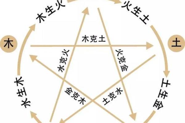 五行理论中的“之”字解析