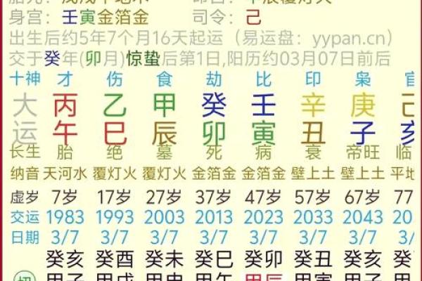 面相30秘籍：解锁命运密码，财运亨通人生辉煌！