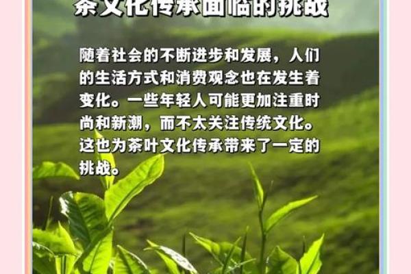 土家族茶文化：传承与创新的完美融合