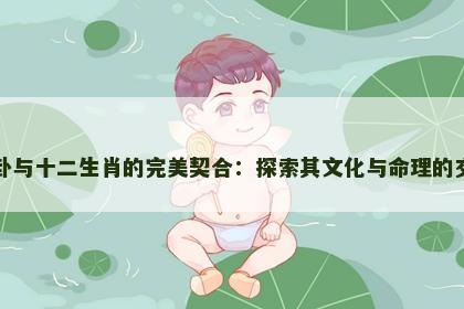 八卦与十二生肖的完美契合：探索其文化与命理的交汇