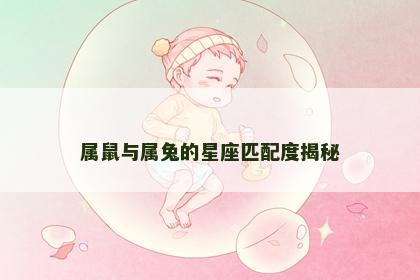 属鼠与属兔的星座匹配度揭秘