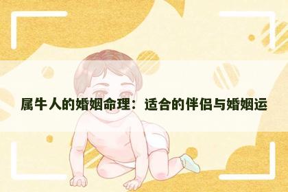 属牛人的婚姻命理：适合的伴侣与婚姻运